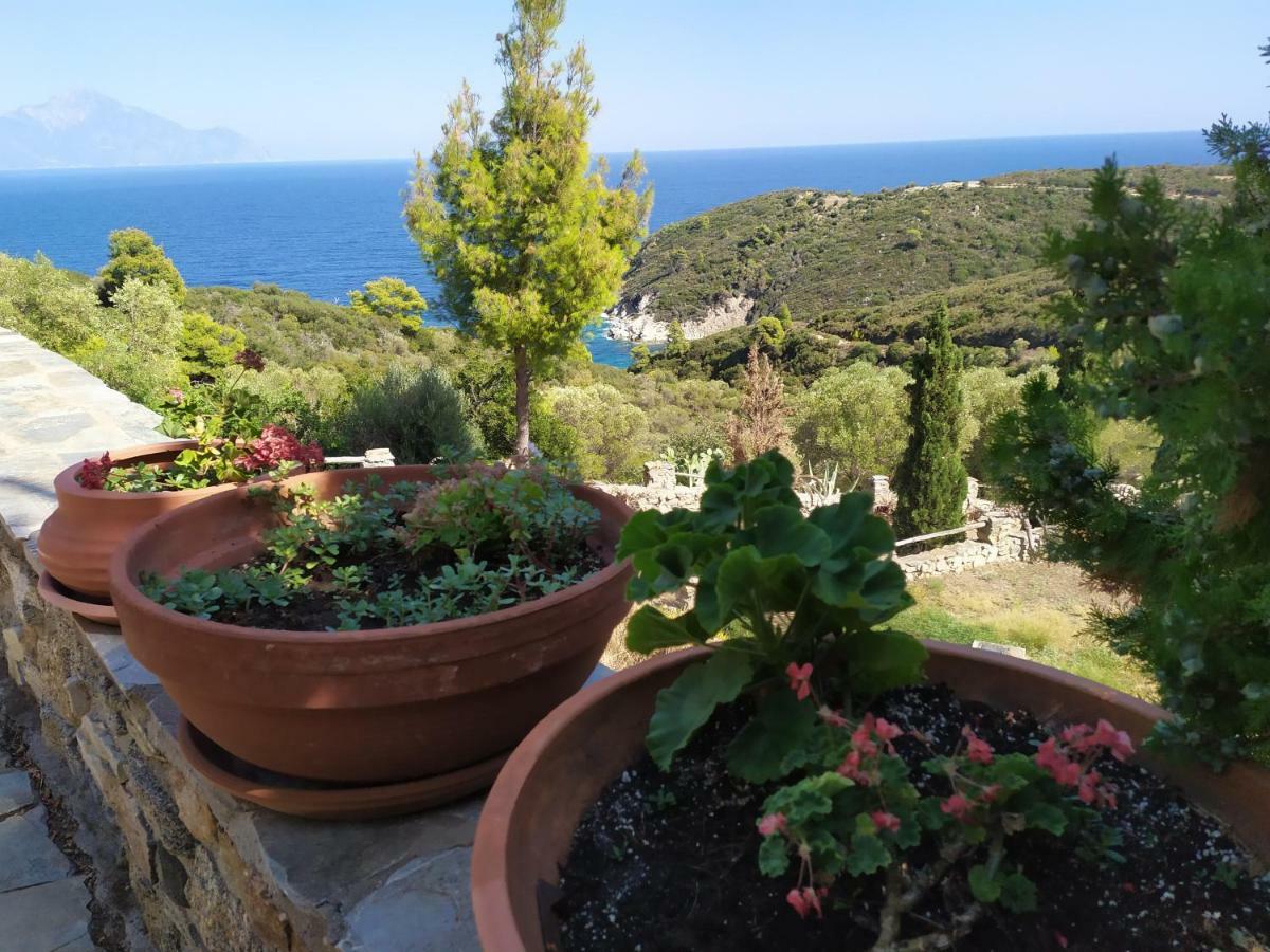 Villa Athos Sarti Exteriör bild